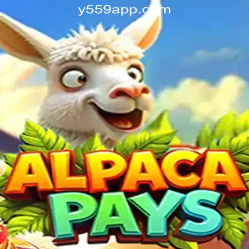 Exploring AlpacaPays: A Premier Gaming Experience with Y559.COM Oficial Slots Brasil #1