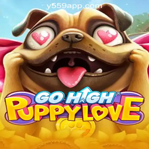 Discover the Exciting World of GoHighPuppyLove: Fun, Thrills, and Adventure